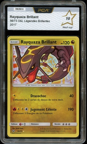 Pca rayquaza brillant - 10,
