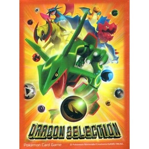 Sleeve rayquaza black - sleeve,